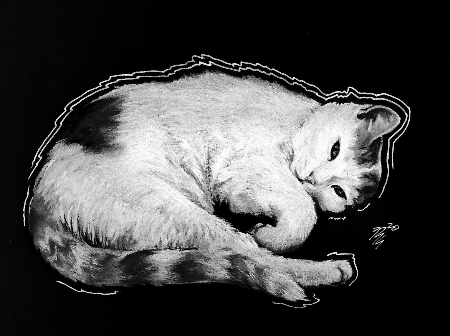 CurledCat