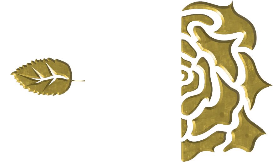 TruthandRoses - Youtube